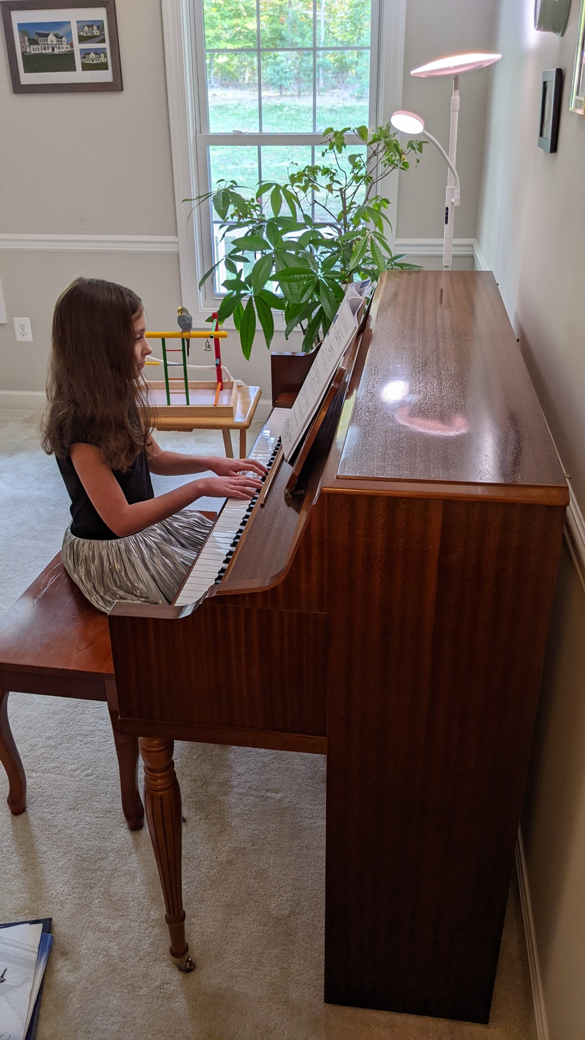 Happy Friday! Here's an awesome... - Lessons In Your Home | Facebook