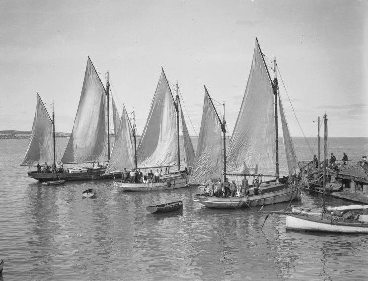 Fremantle's History of WA Fishing-Book