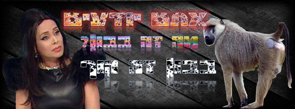אתם יודעים מה זה בבון? בבון זה קוף