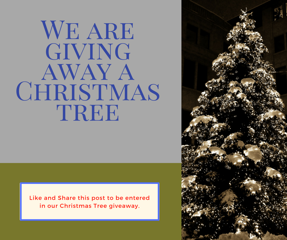 Bough & Branch Christmas Tree Farm | Abbotsford BC