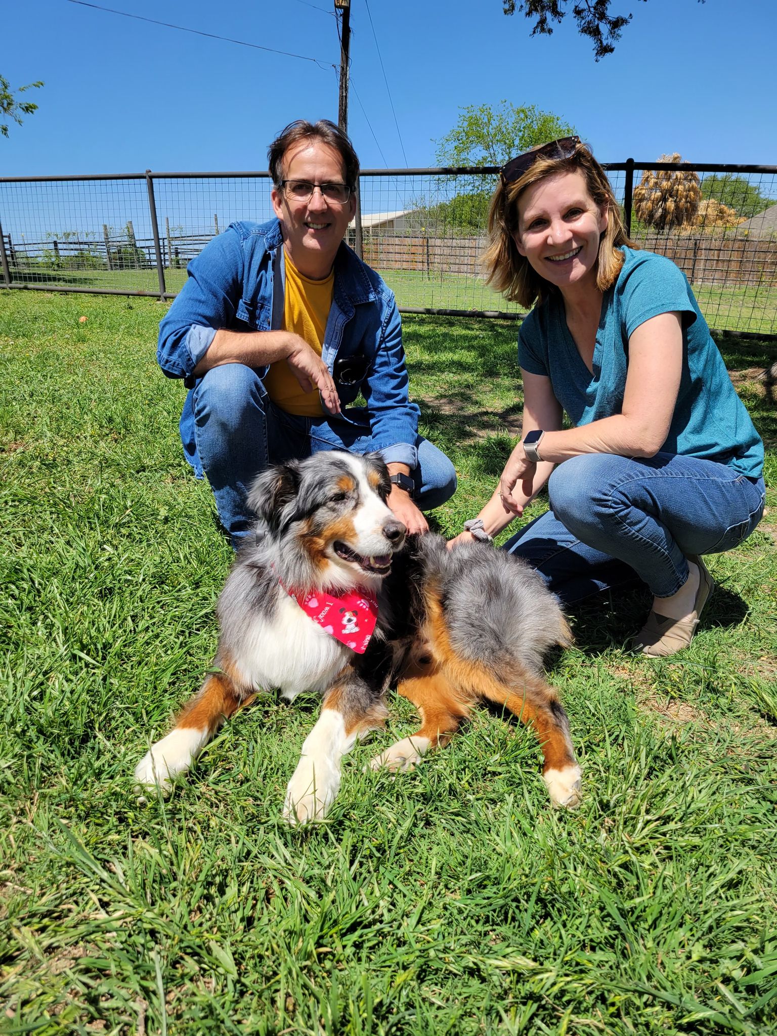 Lone Star Aussie Rescue added a... - Lone Star Aussie Rescue