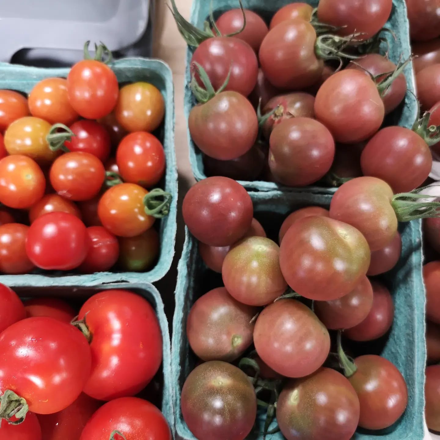 Rama Community Farm added a new photo. - Rama Community Farm