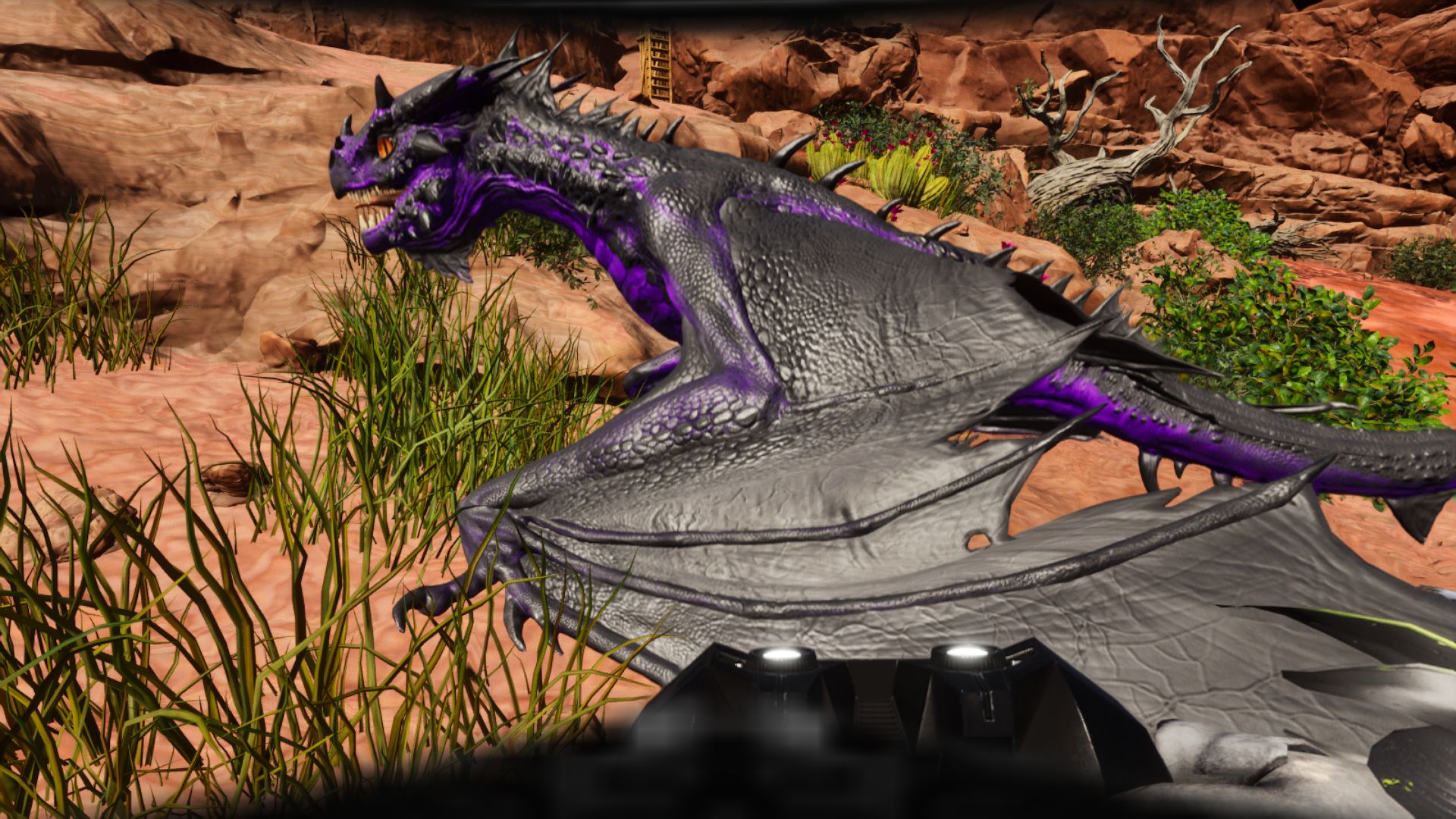 Fire Wyvern 1558 DMG TOP STATS – Clone Ark Survival Ascended – Ufficiale PVE – PC, Xbox, PS5