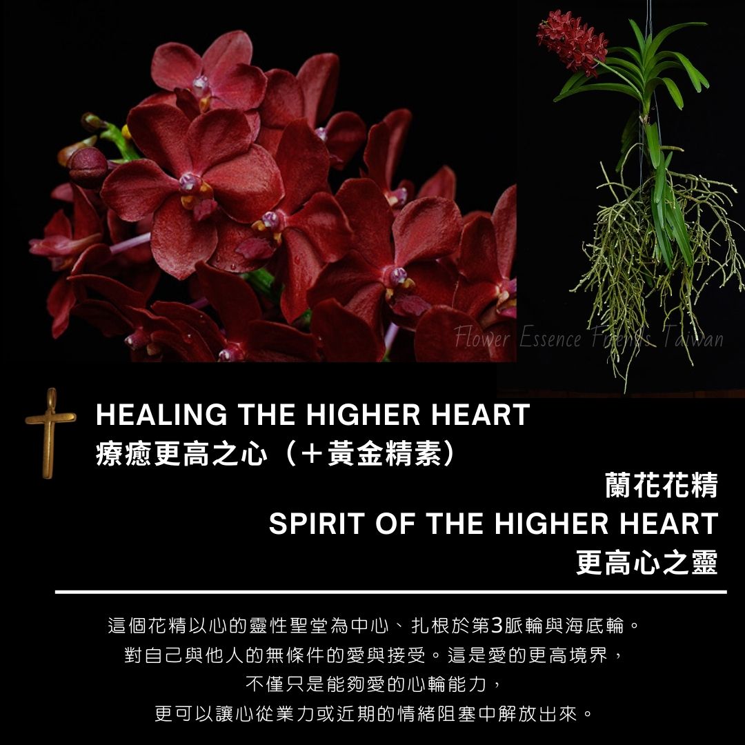 蘭花花精ltoe Orchid Essences Home Facebook