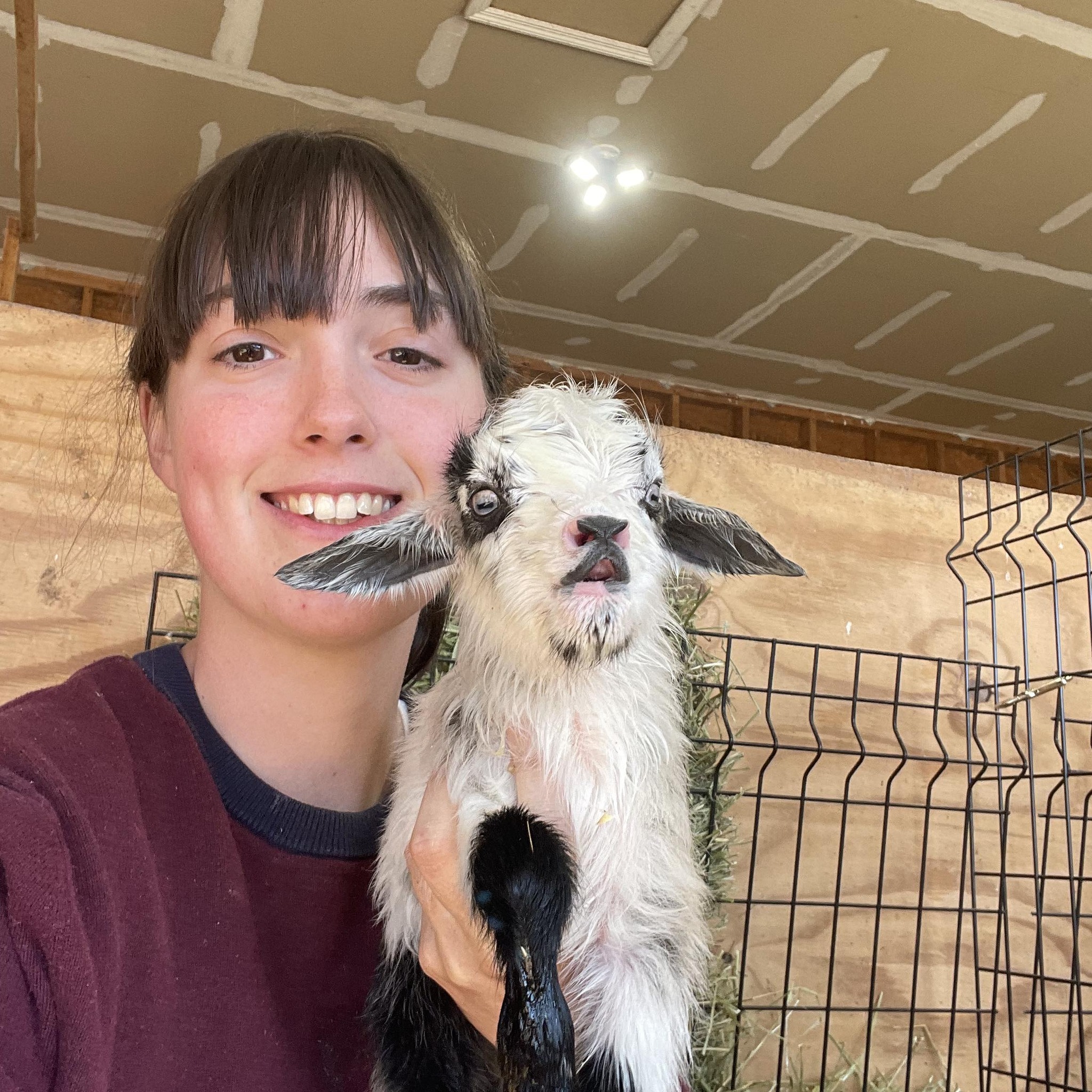 Emily Reed - Party goat is in the house tonight.... | Facebook