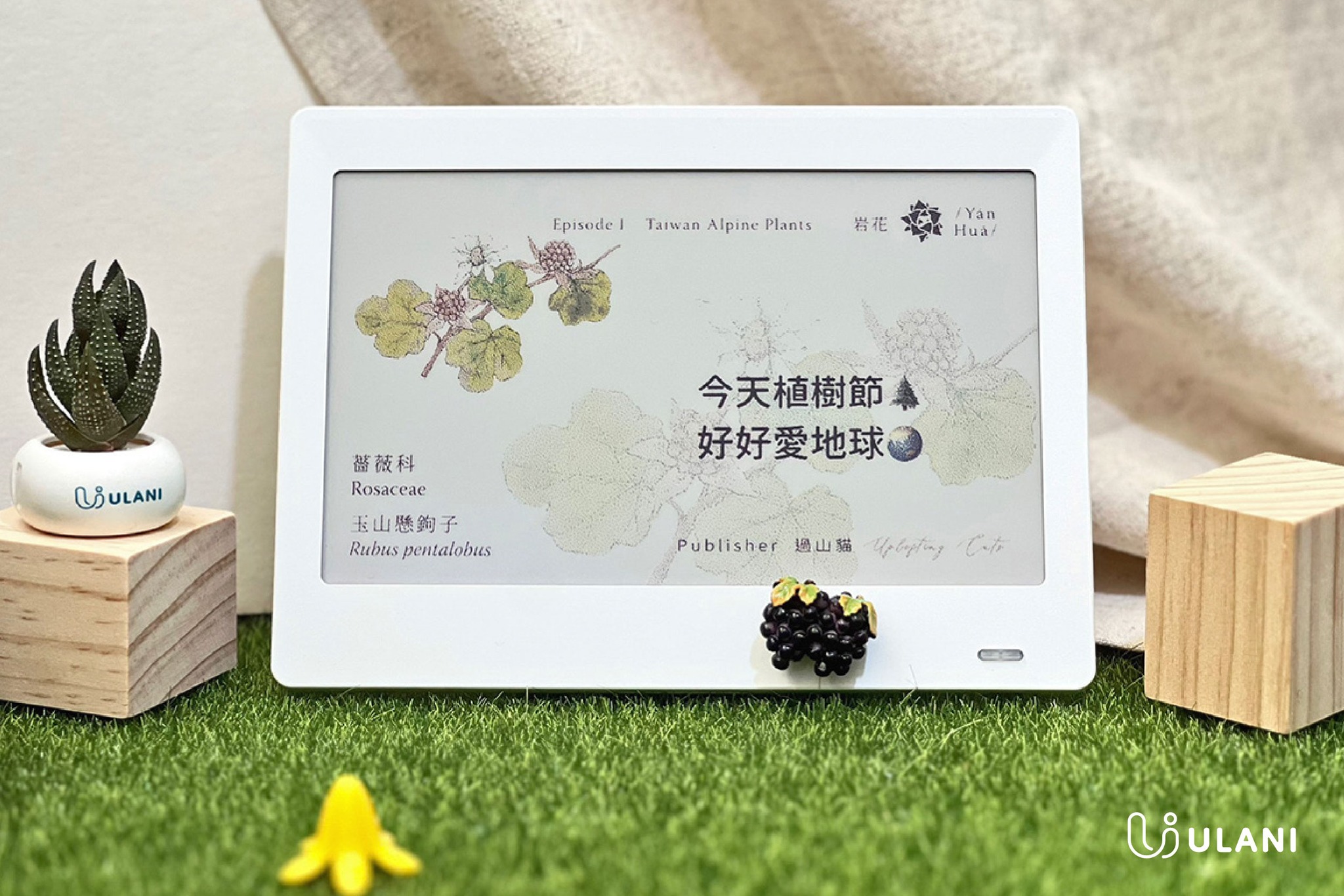 ULANI 永恆曆 ∞