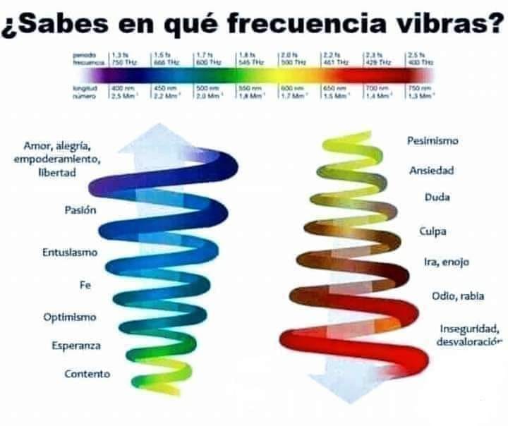 biohealing-las-emociones-son-conexiones-cada-emoci-n