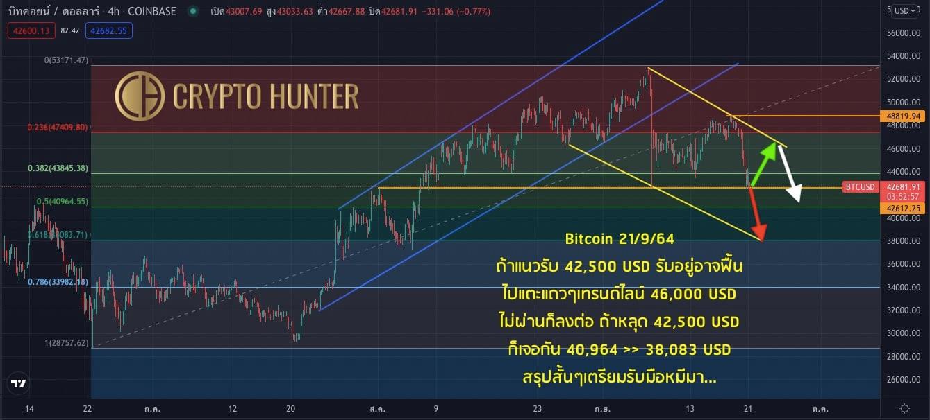 Crypto Hunter - หมีมาแล้ววว เผยทางเลือกของ Bitcoin... | Facebook