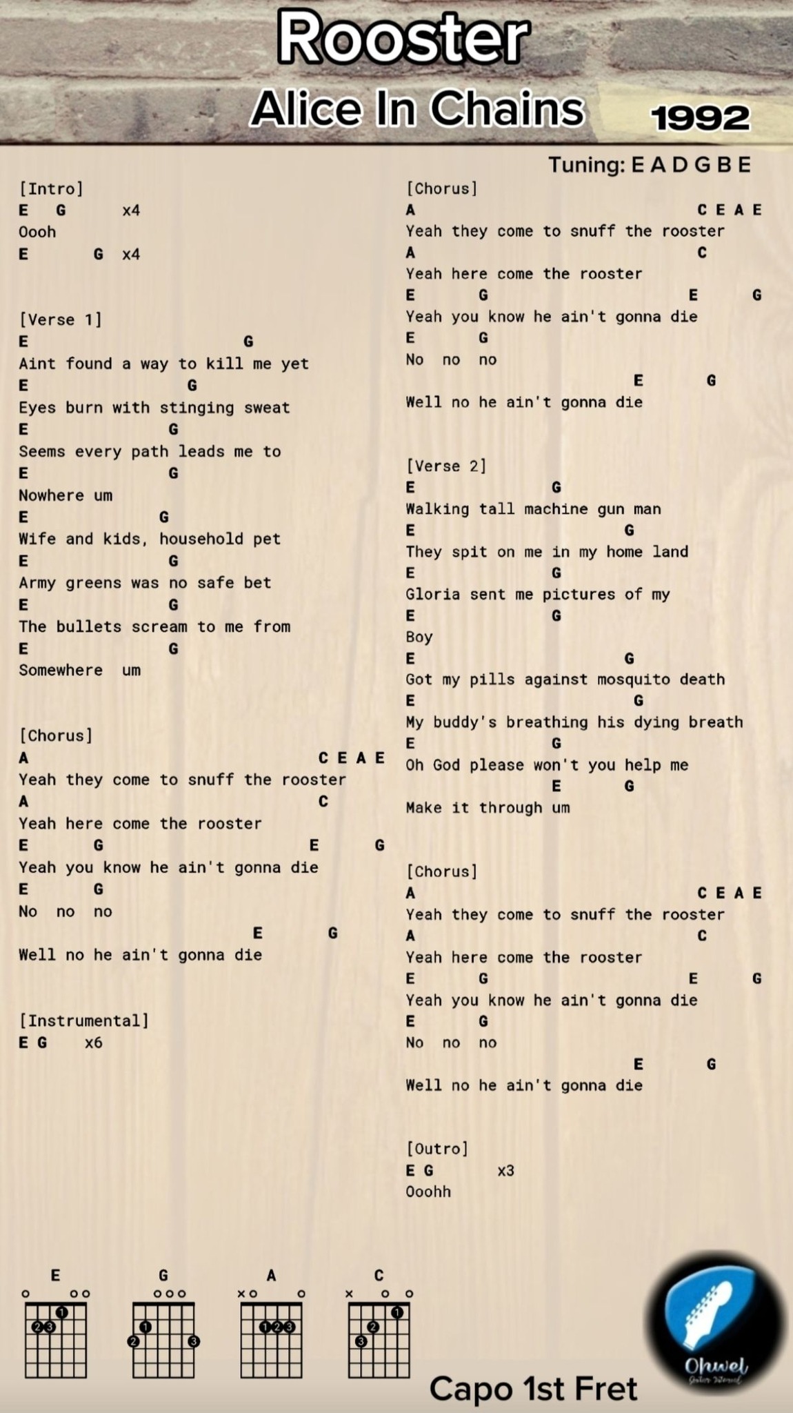 Rooster - Alice In Chains (1992) 💙 #guitarchords