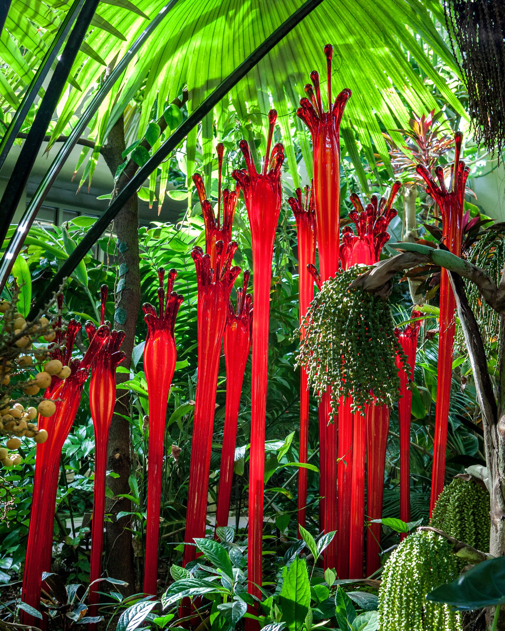 Chihuly has redefined the conservatory or botanical garden