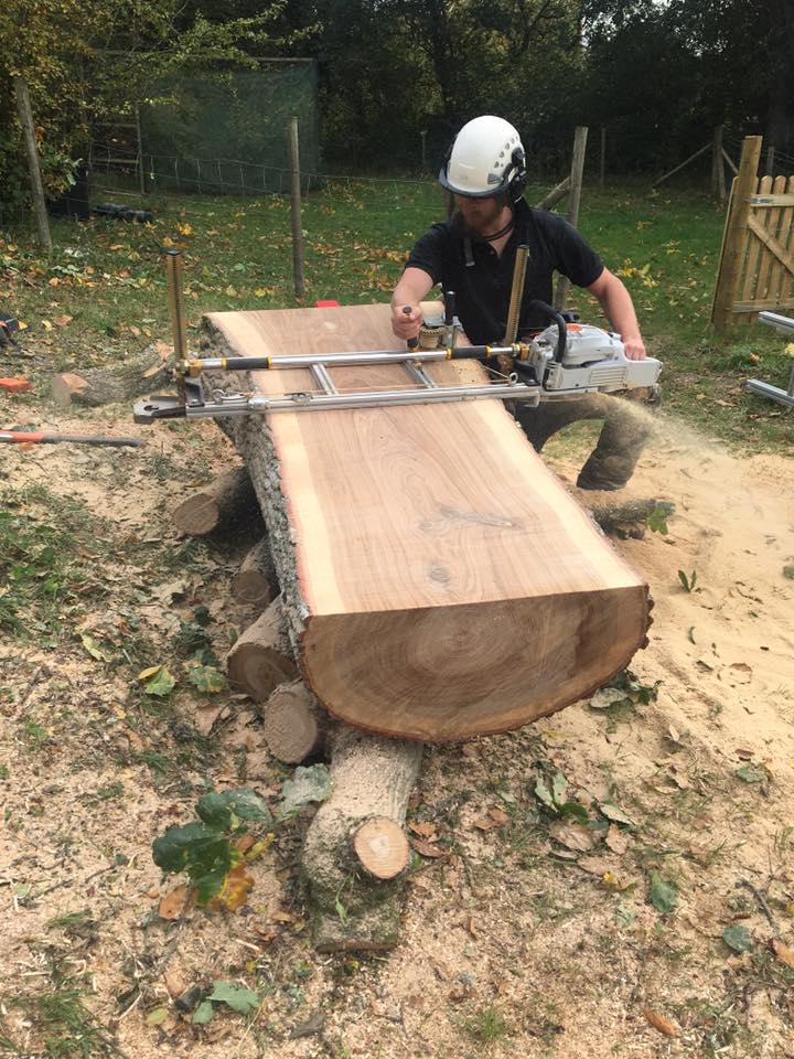 Sw forestry and tree services