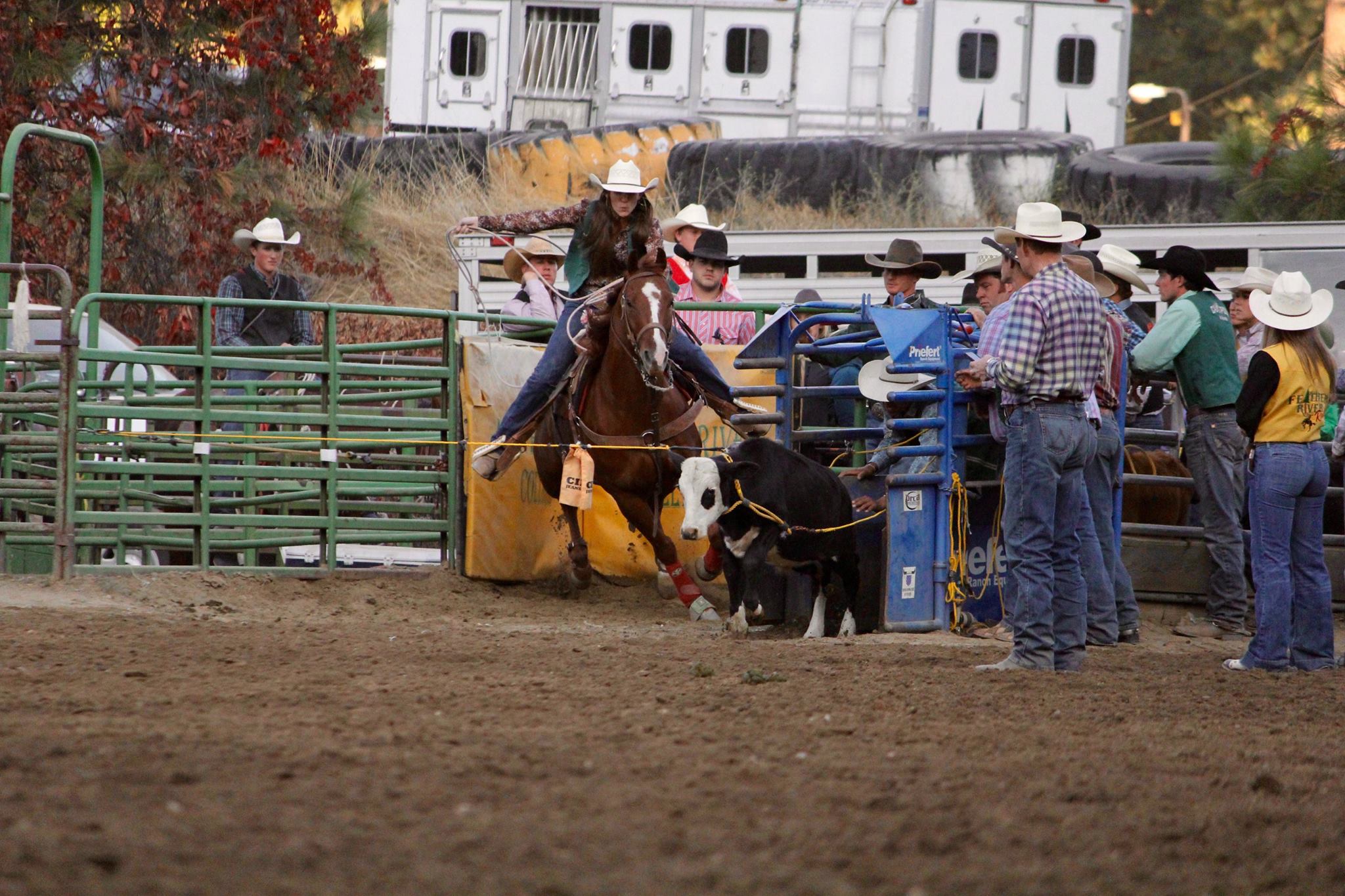 With the bang of the... - Cal Poly San Luis Obispo Rodeo Team
