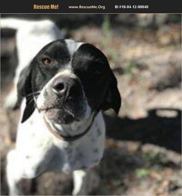 Rescue Me! Pointer Rescue