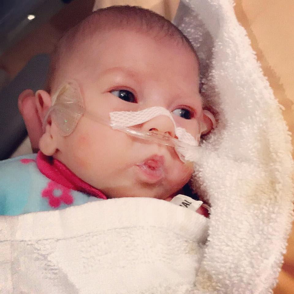 Kinley Rae's Journey