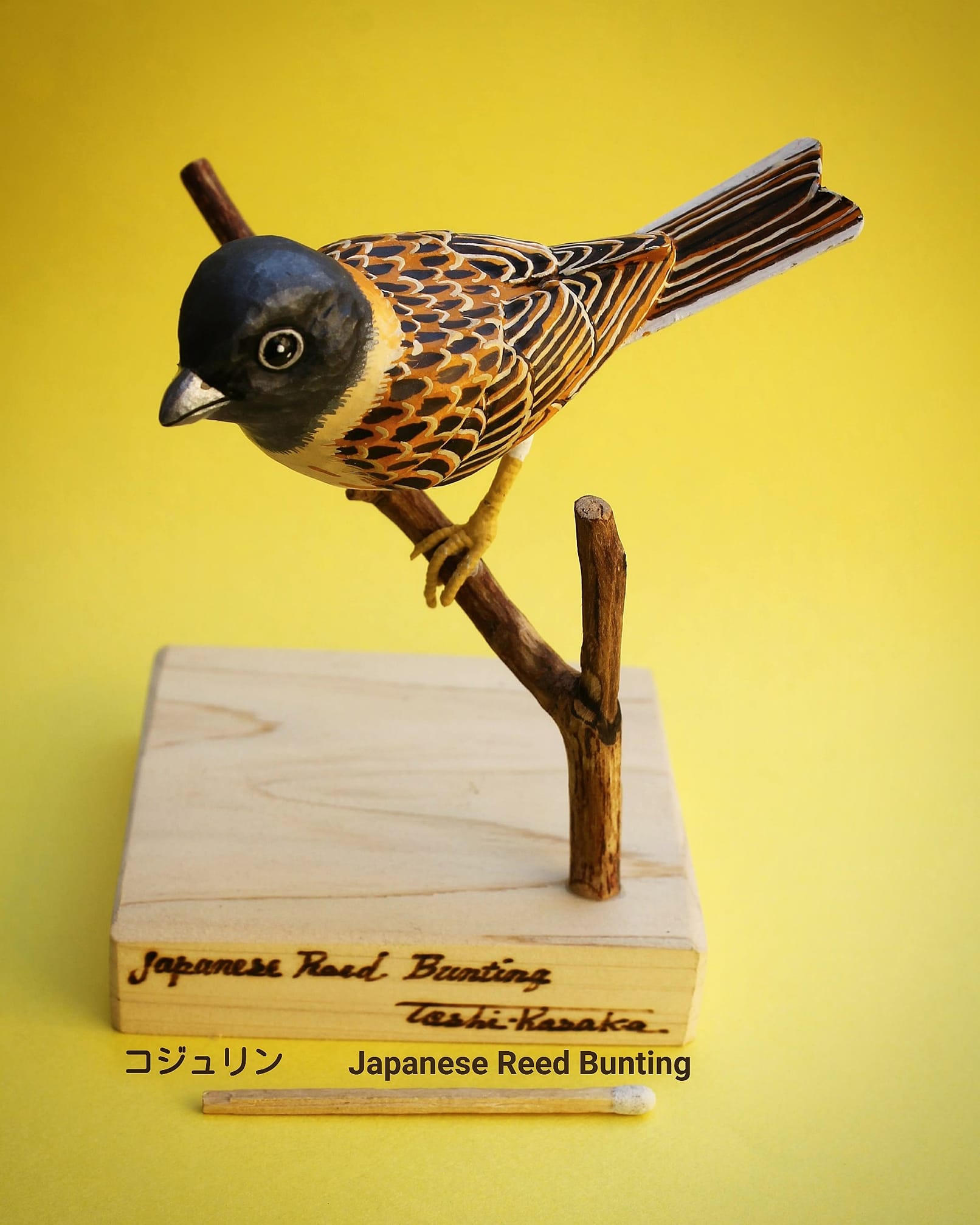 Toshi.Kosaka 夢工房&BIRD SONG