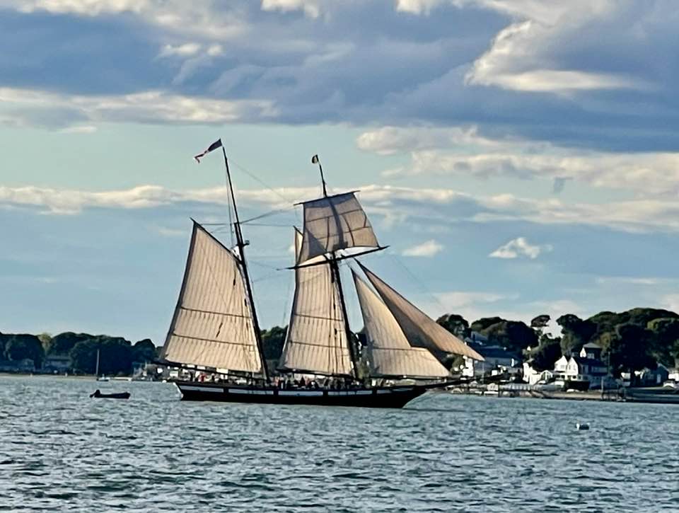 Lynx.. The original Lynx, a privateer ship, was a topsail schooner