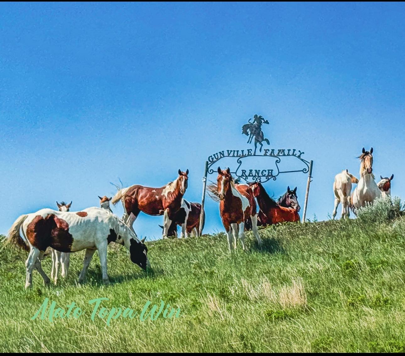 Gunville Rodeo
