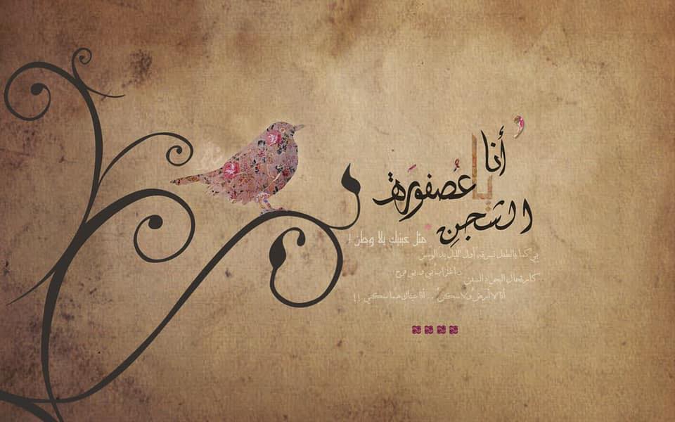 Maturity نُضج