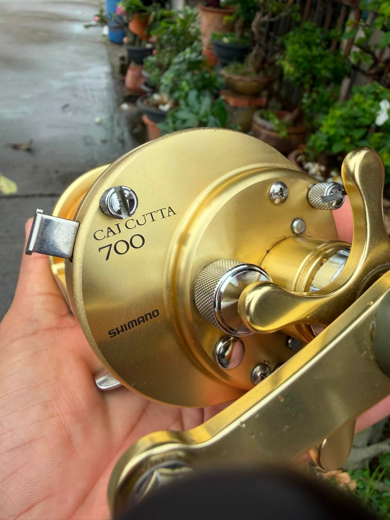shimano 700 reel Tekota Saltwater Star Drag Fishing Sporting Goods The casting reel SLX A 71 is a Shimano reel that offers excellent value for money Shimano Fishing CALCUTTA 700B Round