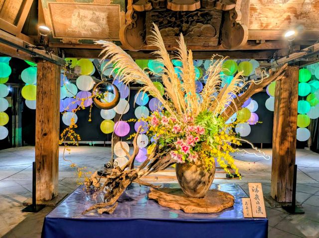 いけばな嵯峨御流 - 花態／文人華「君子鼎談」 花材／金明竹 桐 梅 蘭