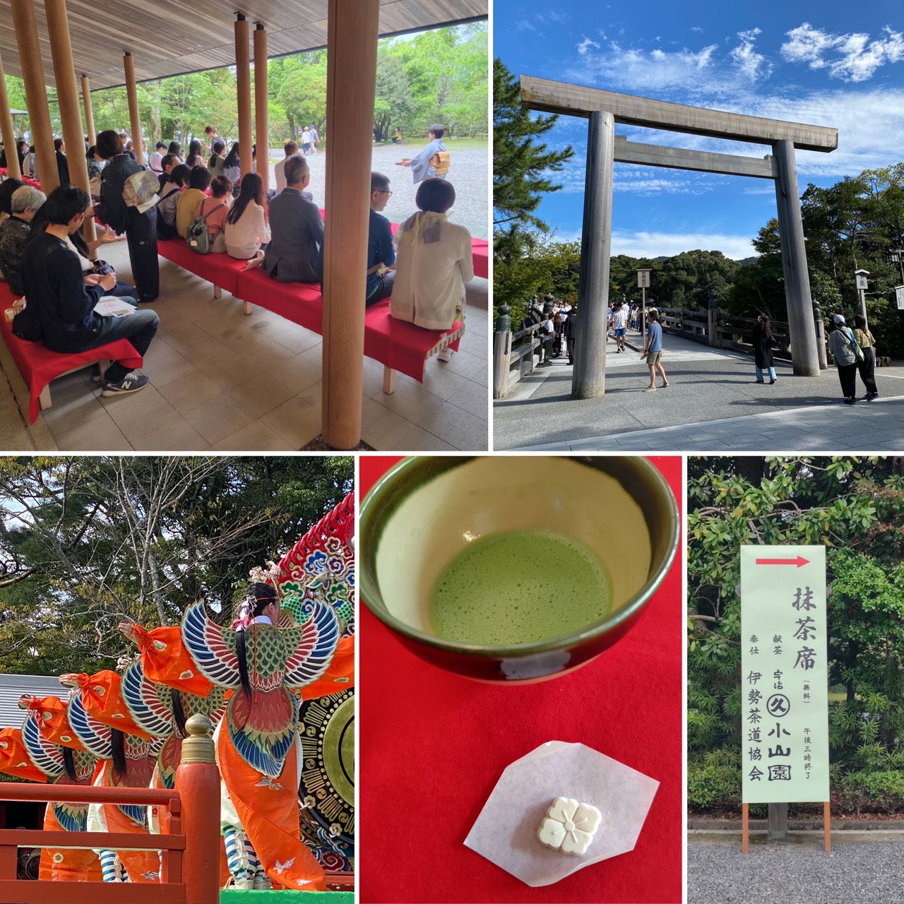 掛軸茶道 建仁寺管長 小堀泰巌 松に古今の色無し 共箱 掛軸茶道 建仁寺