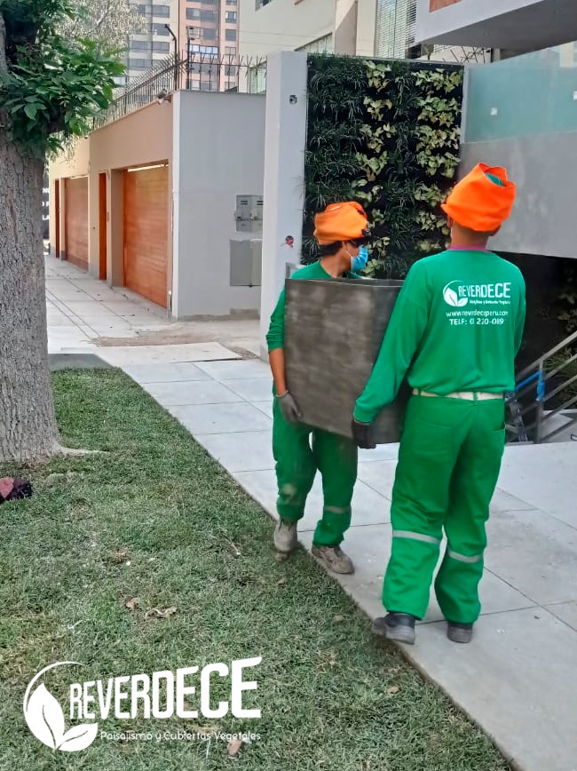 Reverdece Perú - Terminando de instalar las macetas para... | Facebook