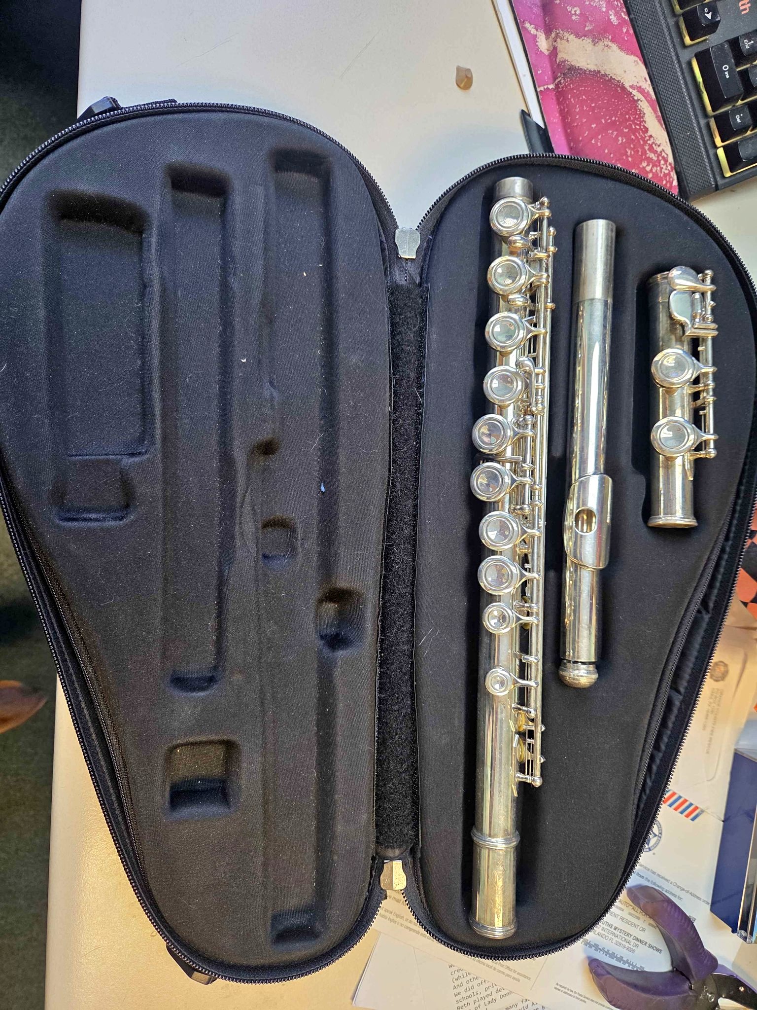 Borg Flute with case musical instrument - Flutes - Orlando, Florida ...