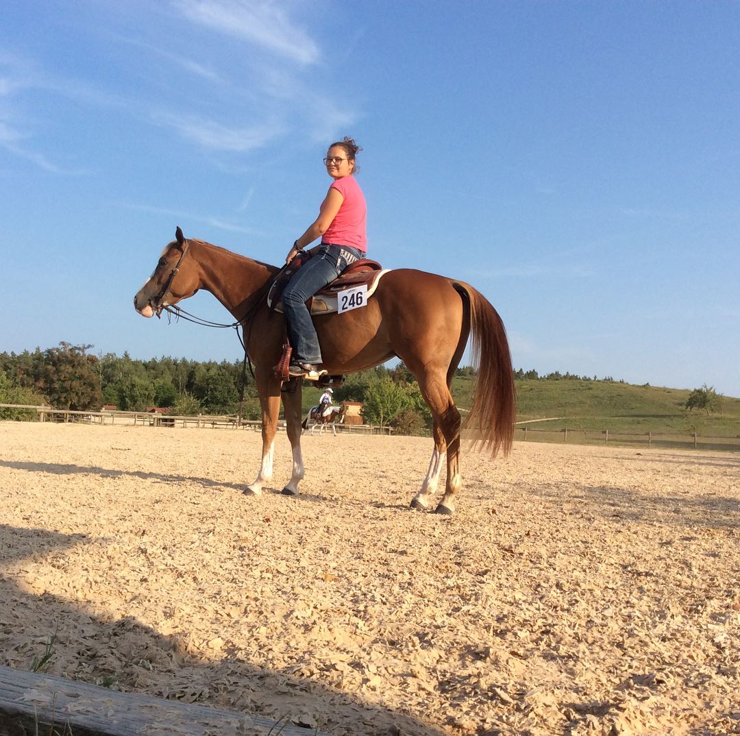 Centro Ippico BM FARM added a new... - Centro Ippico BM FARM