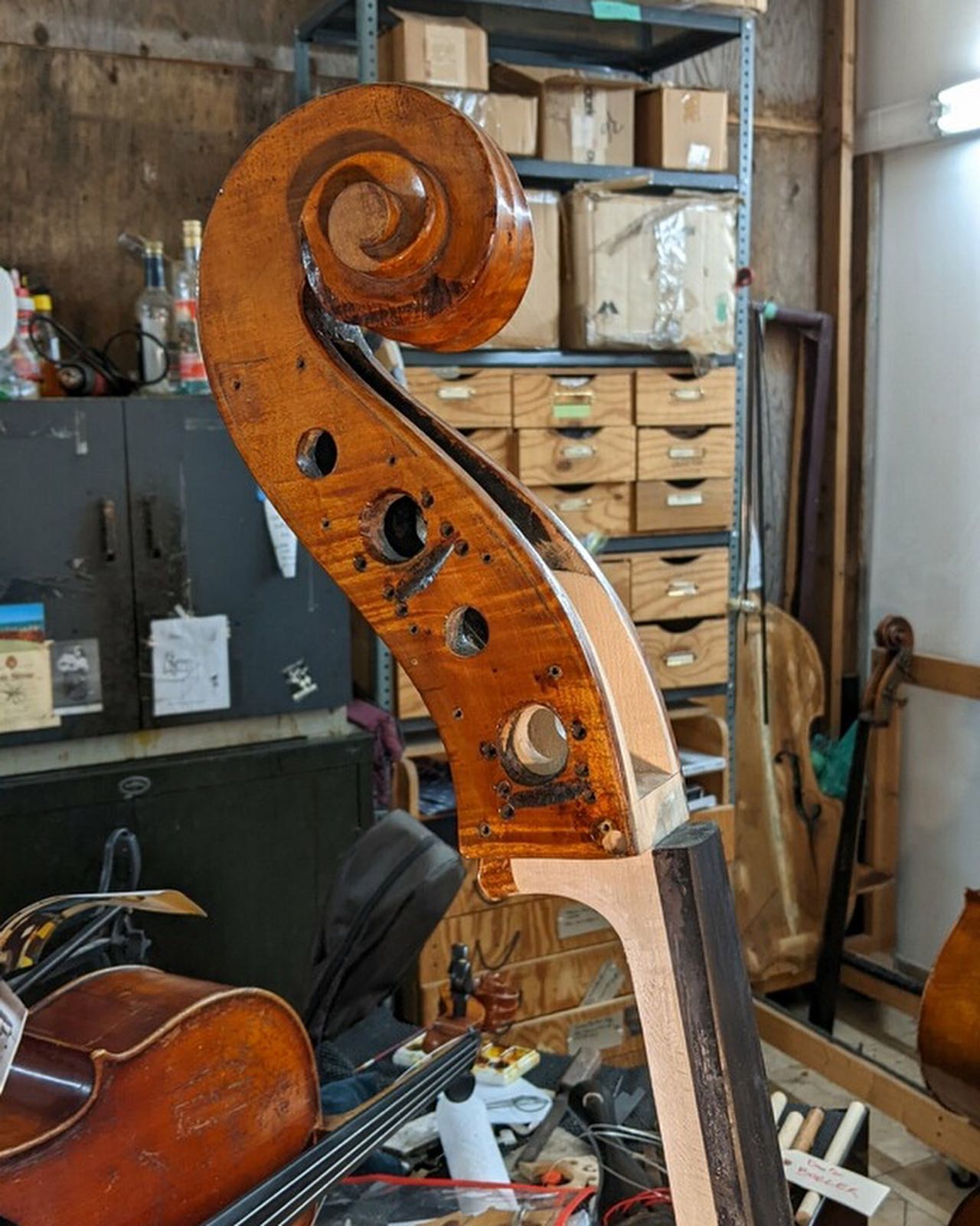 Spotlight on the magic... - Finlay + Gage Musical Instruments | Facebook