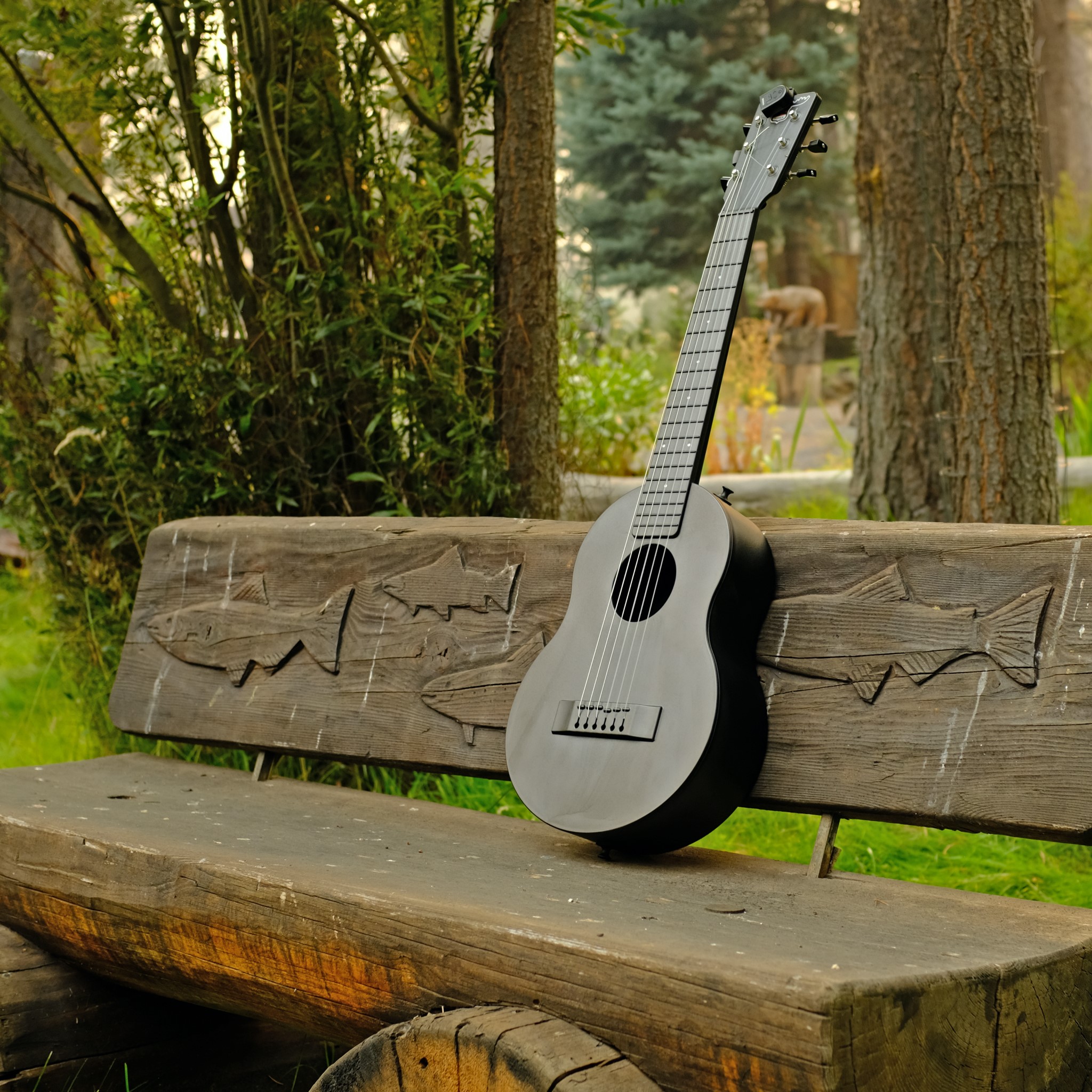 Outdoor - Carbon Fiber Polycarbonate Outdoor Guitar™ with extra 