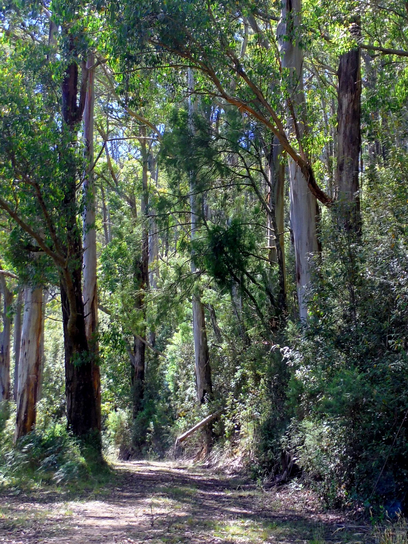 TARRA TRAMPERS | our walk on Saturday 8th is just the other side of the ...