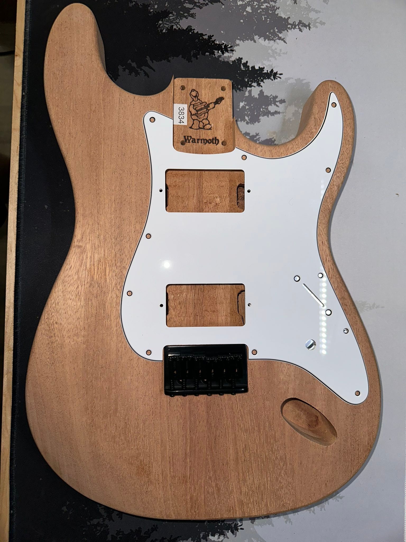 Building a Jim Root Stratocaster in flat white