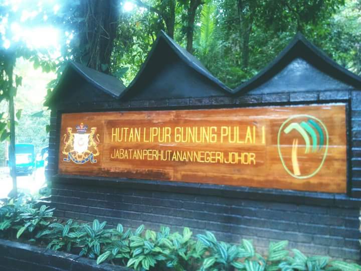 Aku Anak Johor Hutan Lipur Gunung Pulai 1 Dibuka Semula Hutan Lipur Gunung Pulai 1 Dibuka Semula Selepas Ditutup Hampir 15 Tahun Iaitu Sekitar Tahun 2001 Kawasan Rekreasi Itu Dibangunkan Semula