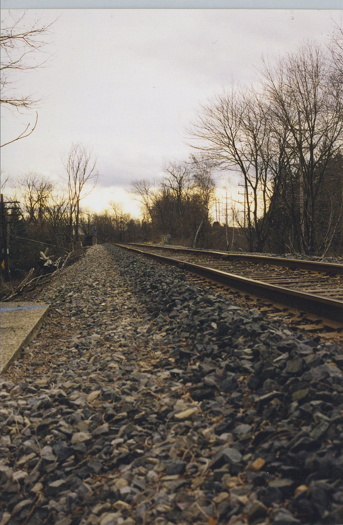 Doug Bisson Photography