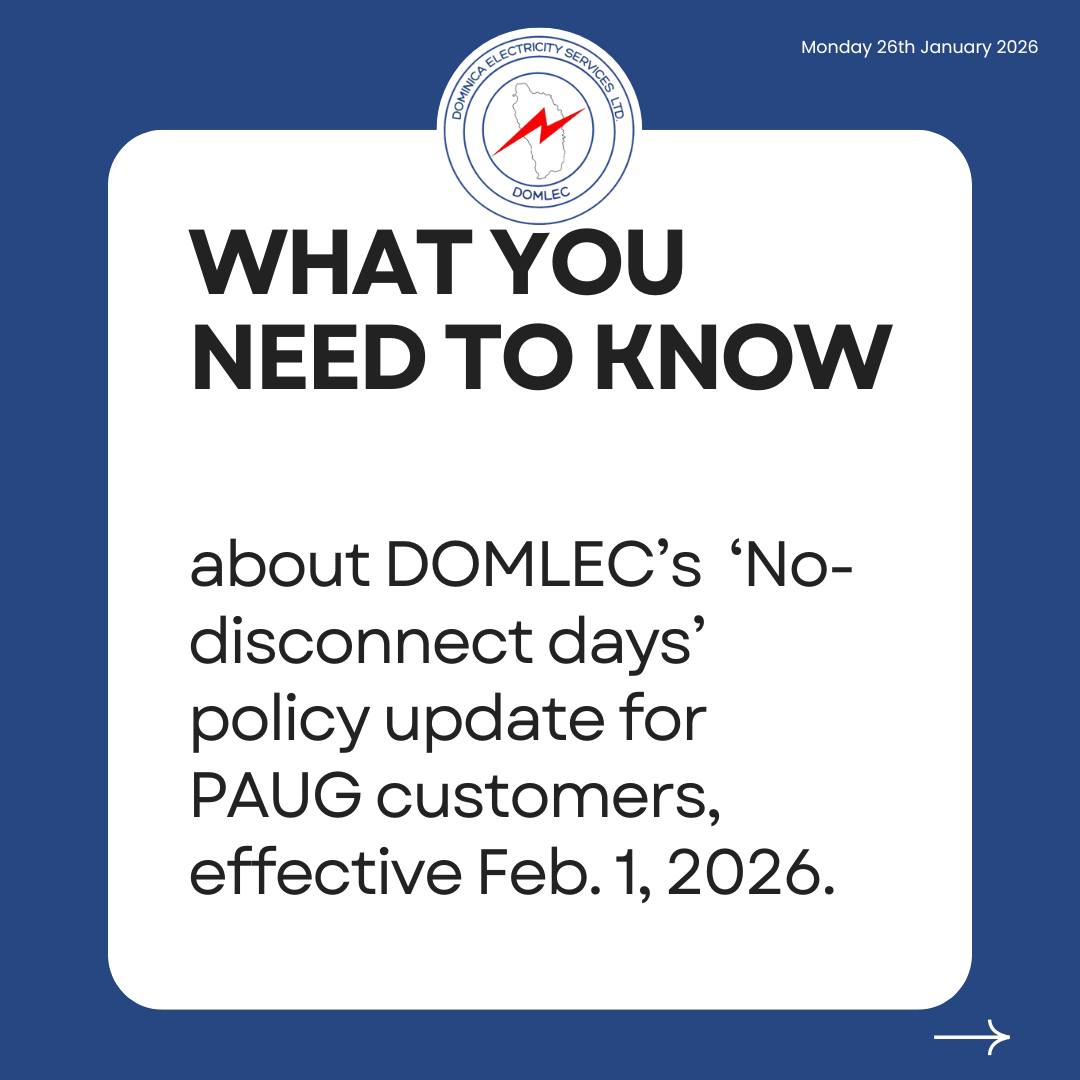 Dominica Electricity... - Dominica Electricity Services Ltd.