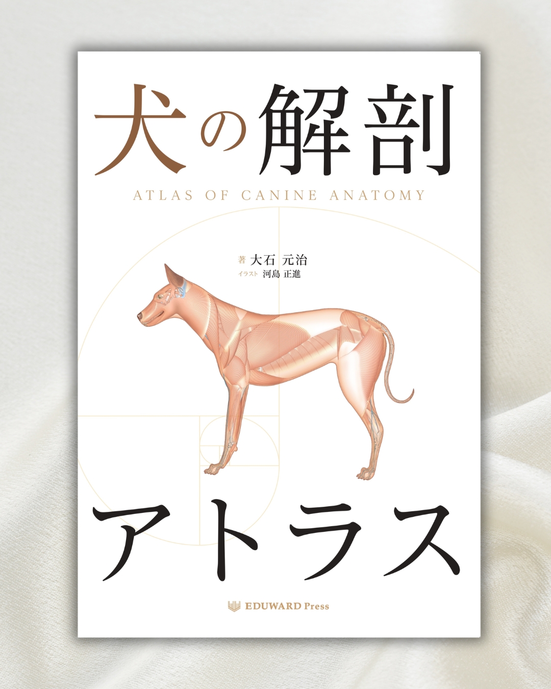 新しい治療ガイドここが違います！」 ＜犬と猫の治療ガイド 1年定期