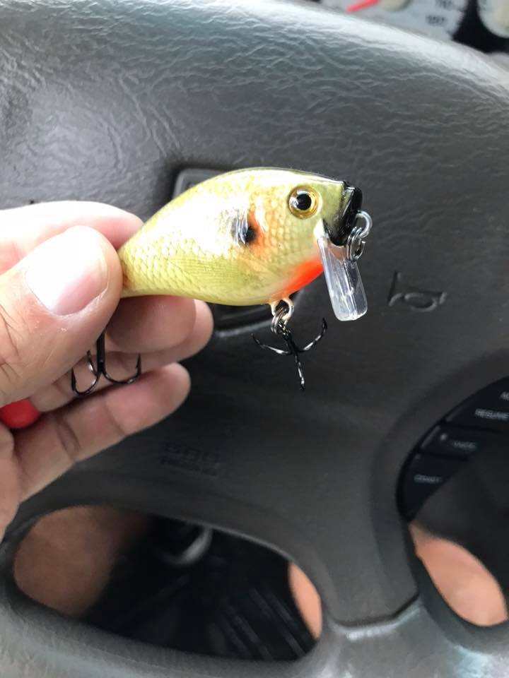 duck dynasty fishing lures D-Ski Custom Baits 6