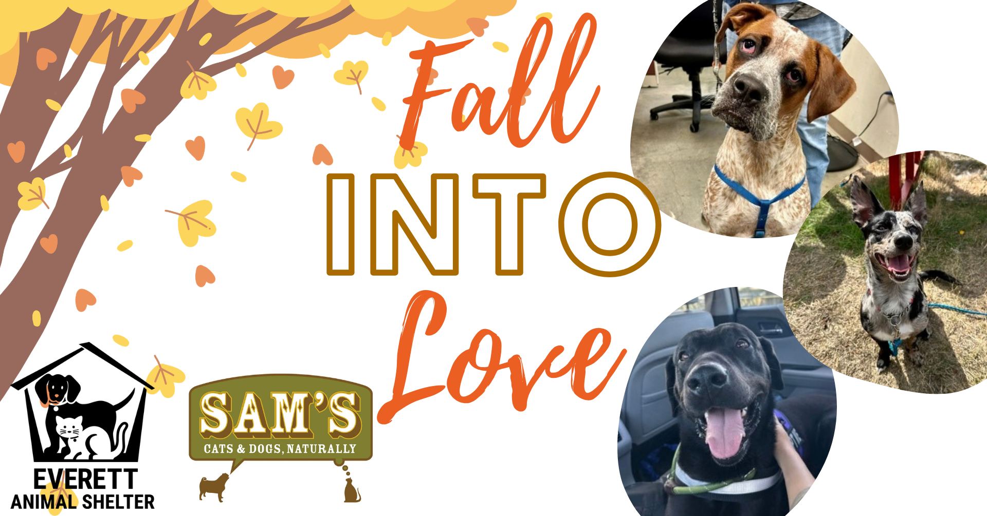 Fall into Love Adoption Event