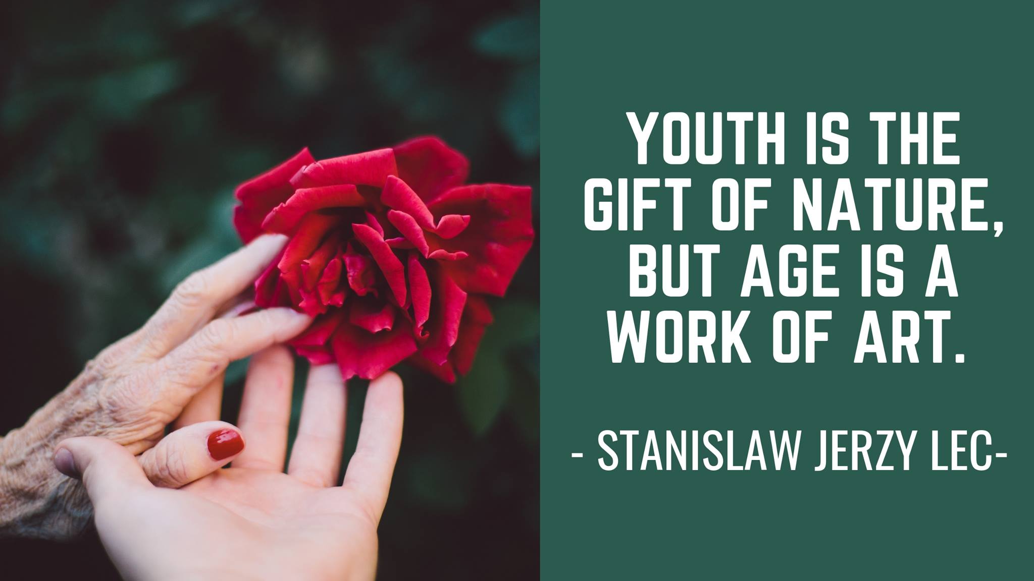 Sanari Candle They Say Youth Is Wasted On The Young What Would You Tell Your Younger Self From Your More Mature Perspective Today Wisdom Betterwithage Sundayfunday Facebook