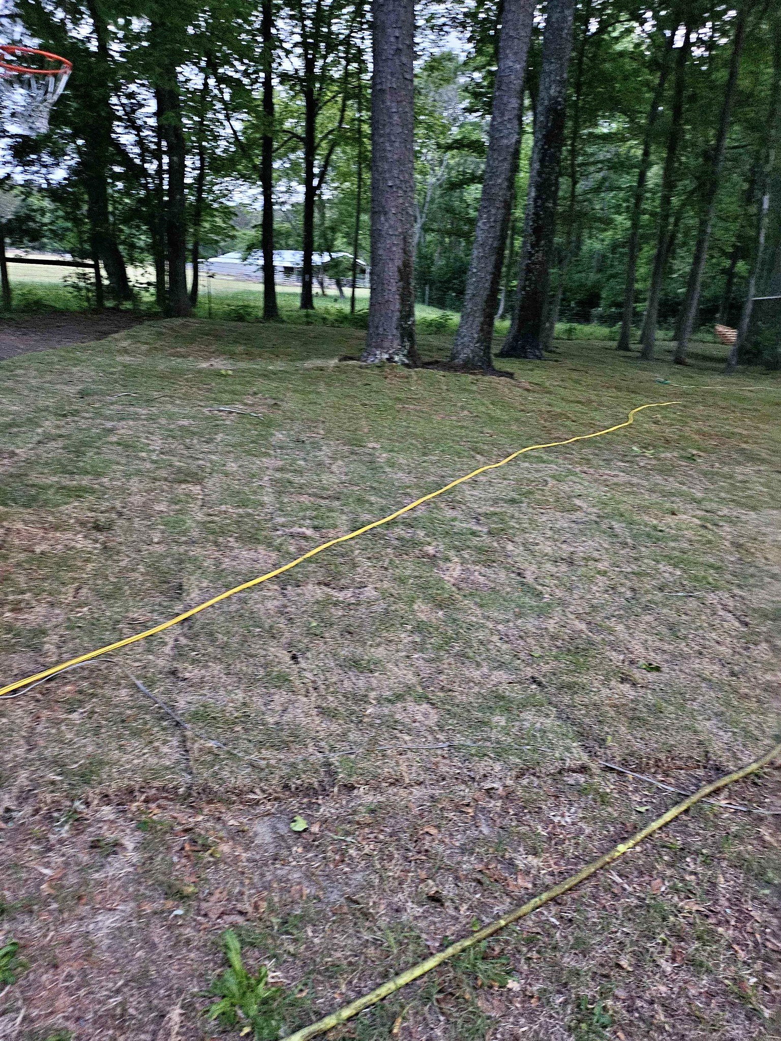 Sod for sale in Albany, Georgia | Facebook Marketplace