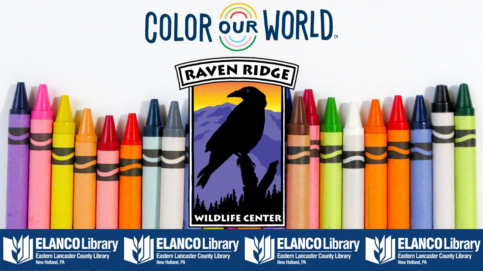 Raven Ridge Wildlife Program