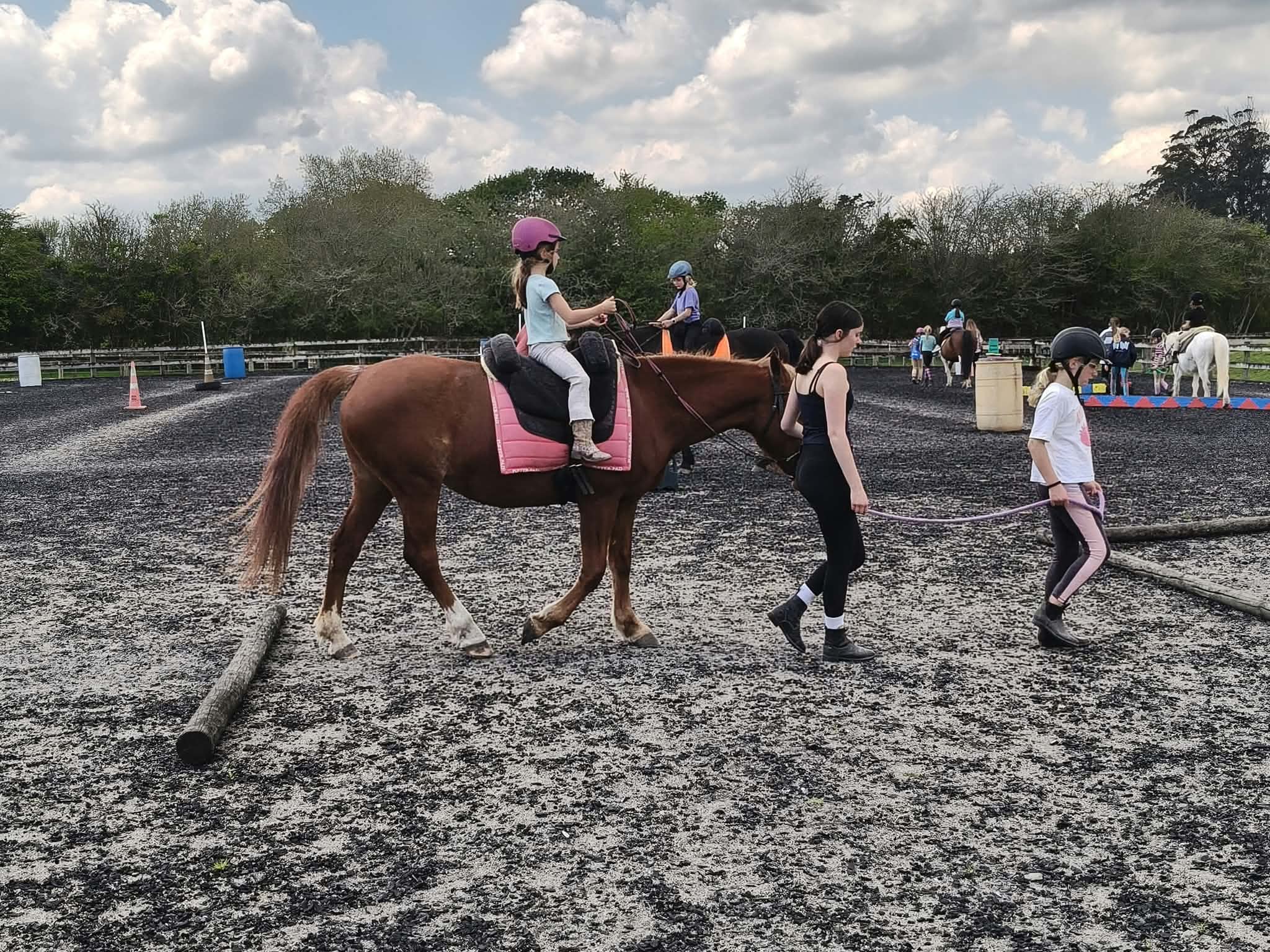 Waikato Equitherapy | Hamilton