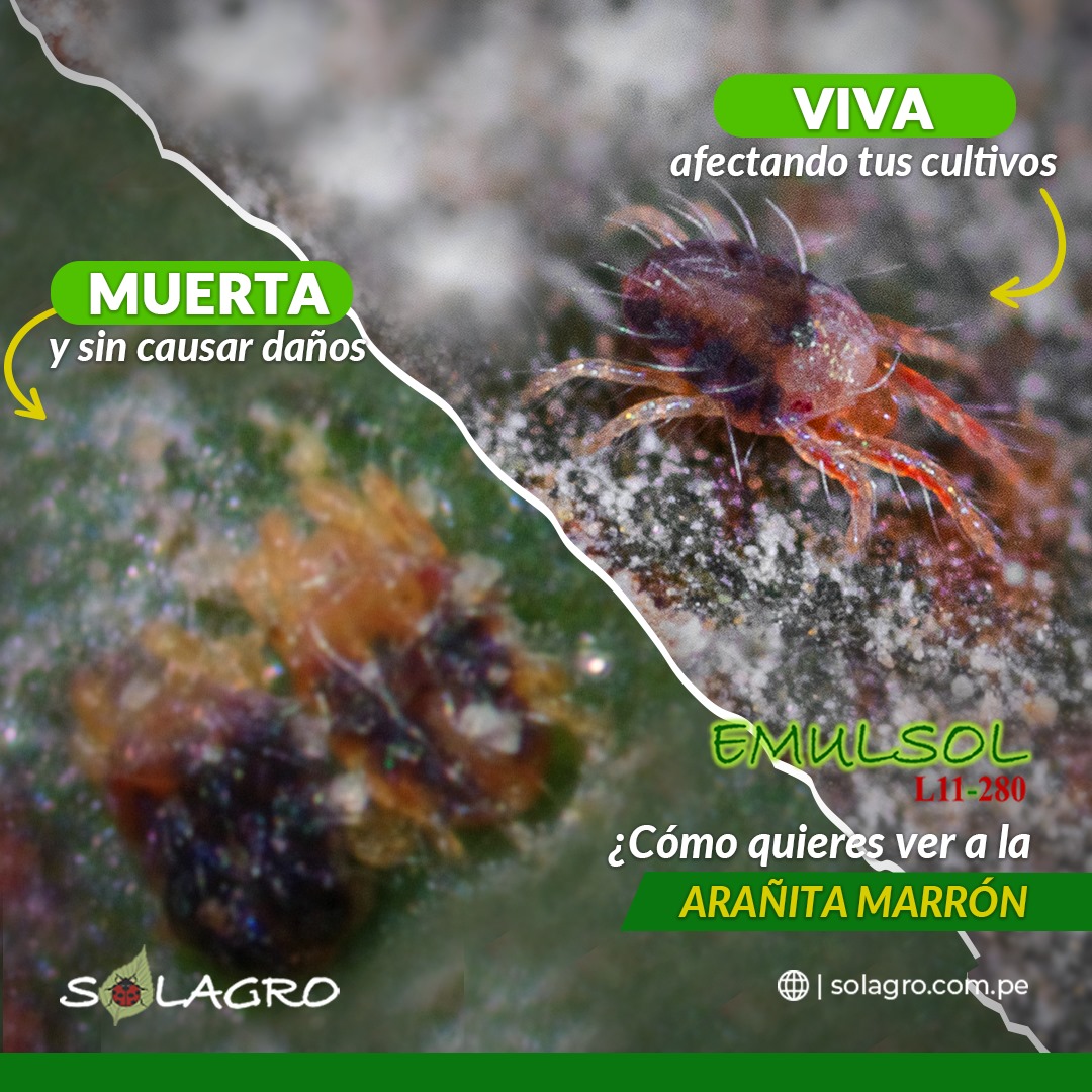 Solagro - EMULSOL es un concentrado emulsionable de...