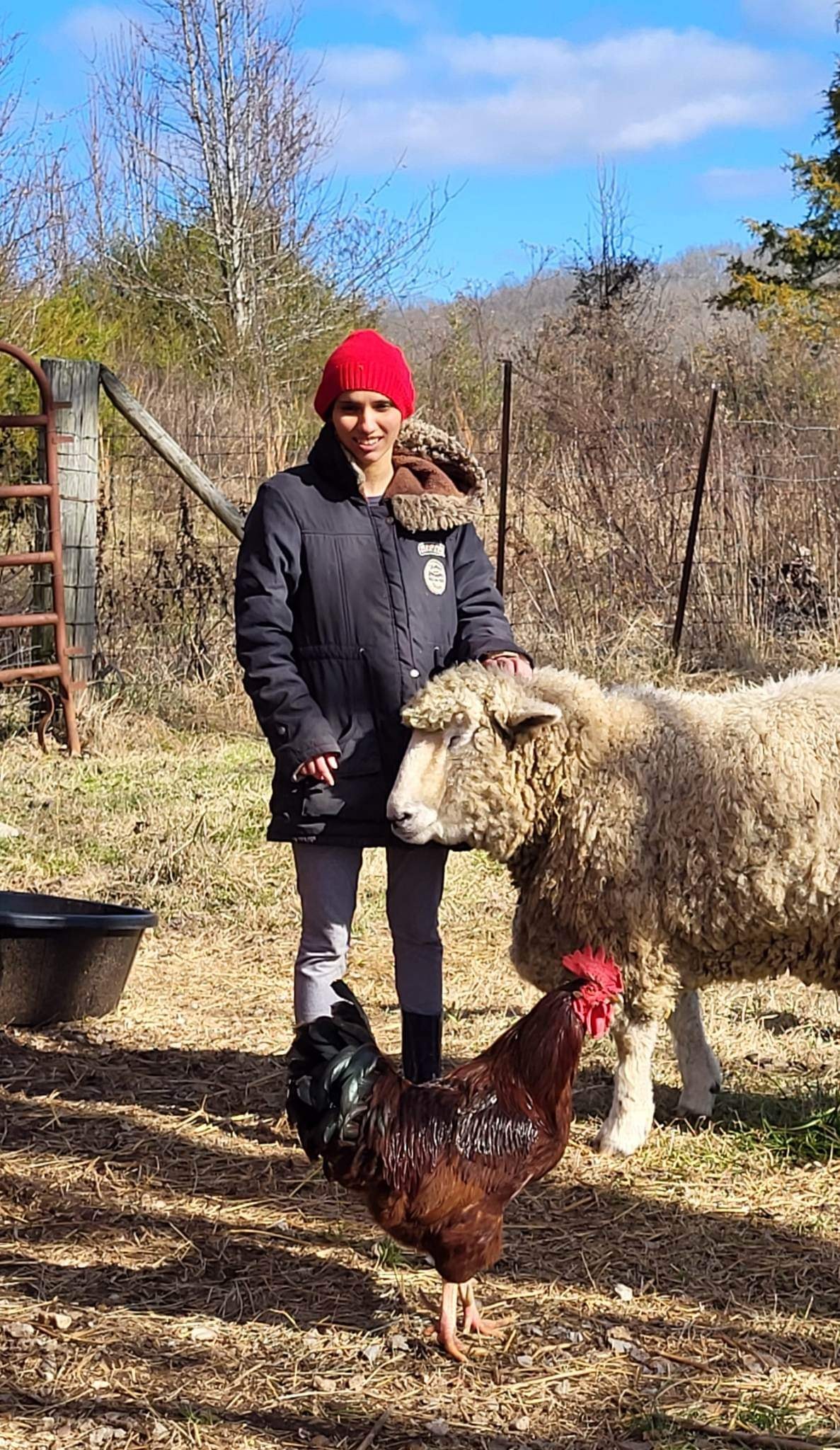 Shepherds' Rise: a Family Farm | Woodbury TN