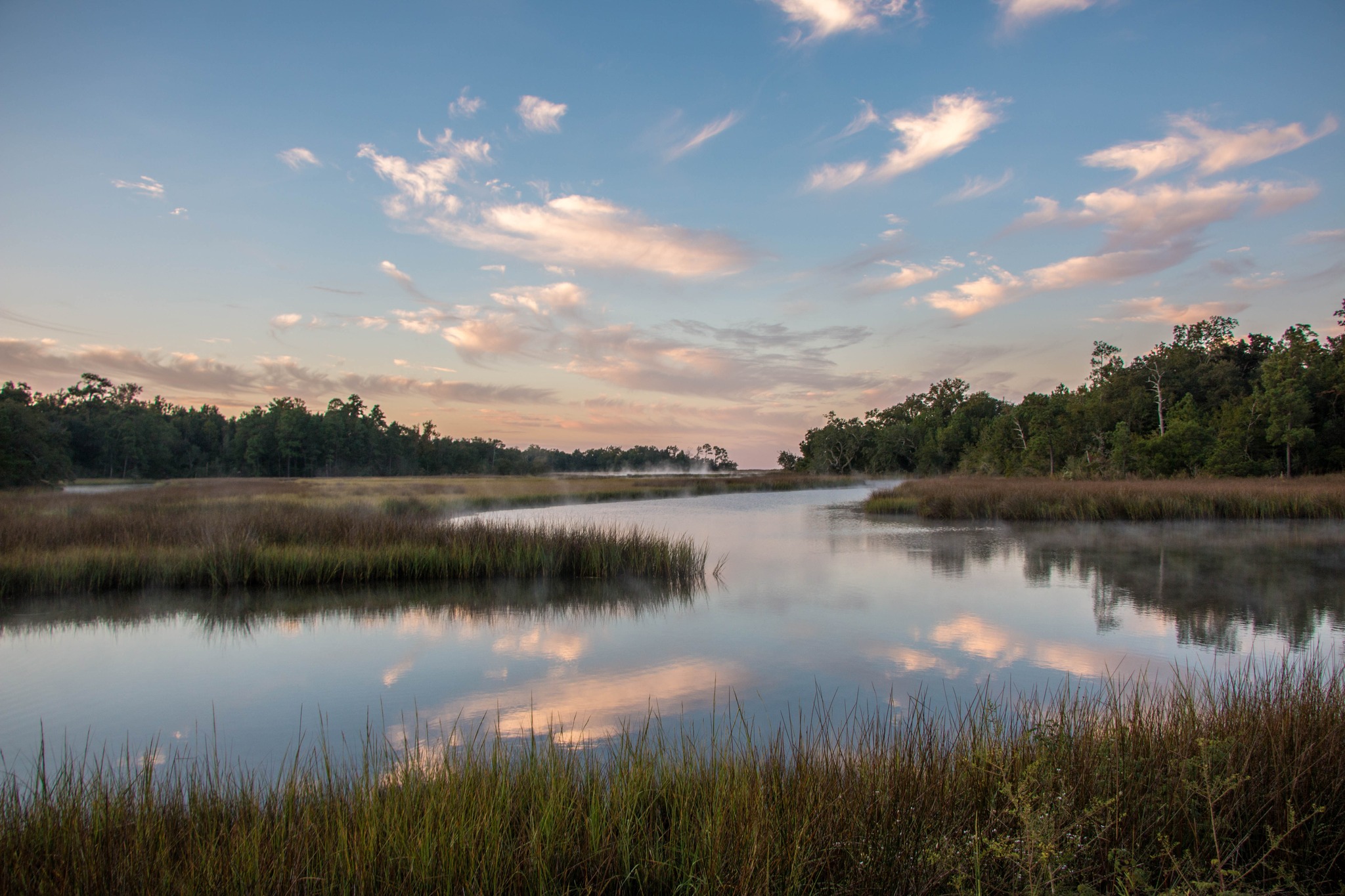 Adventure Through the Bayou: Ranger-Led Hike
