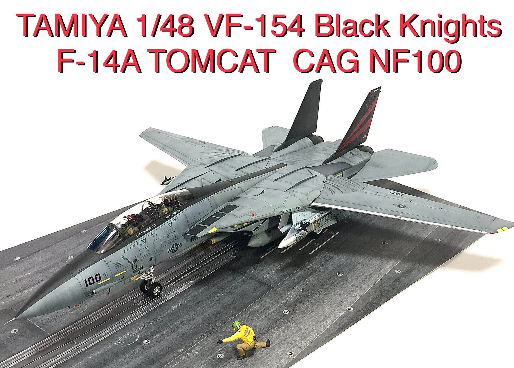 WITTY WINGS F-14 TOMCAT VF-154 BLACK KNIGHTS NF100- 2003