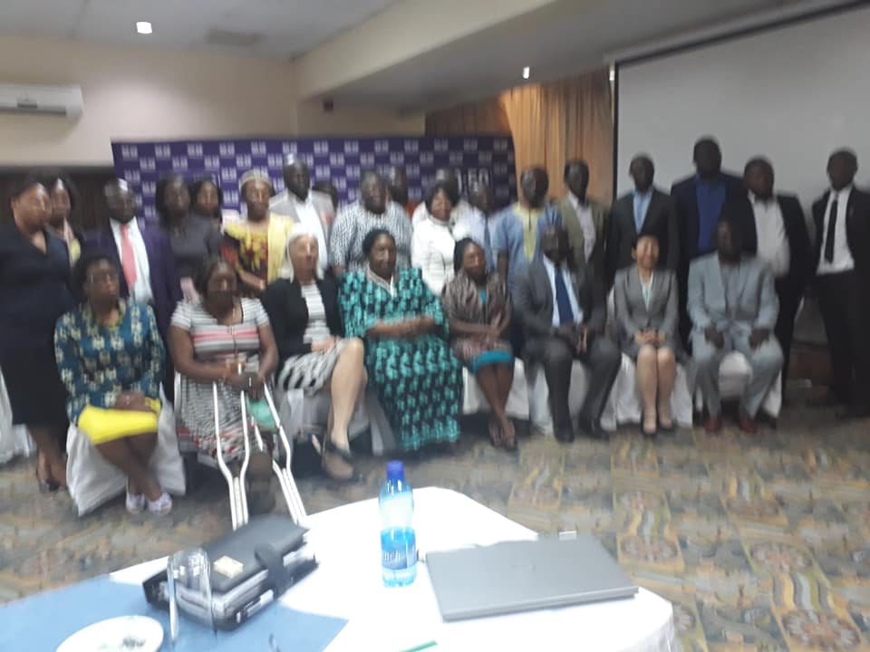 Human Rights for Women and Girls with Disabilities in Malawi - hrwgdm ...