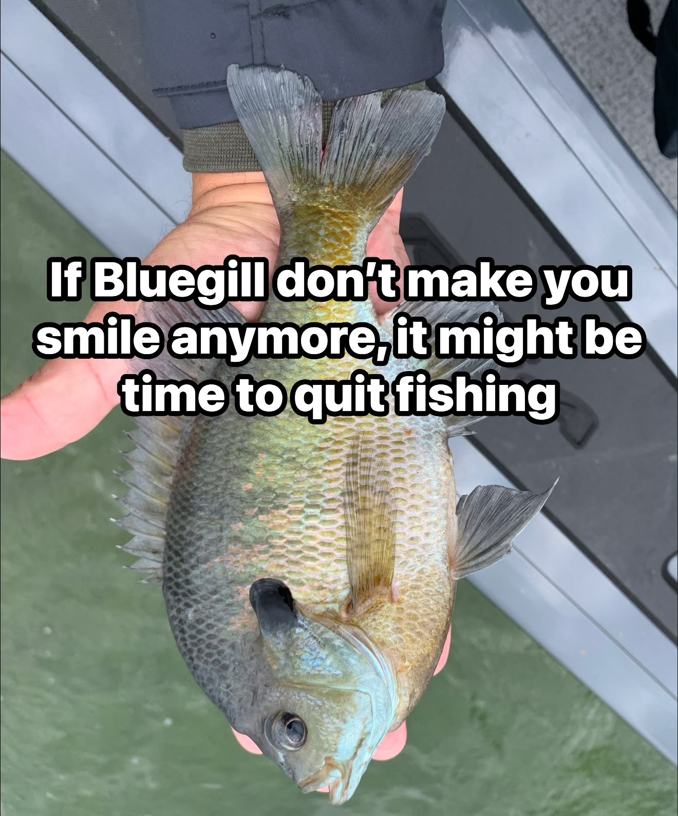 clear aquarium fish net Week Aqua ABS Fish can easily become nichols lake fork flutter spoon Style:LT3000S-CXH Catching Summer Bass