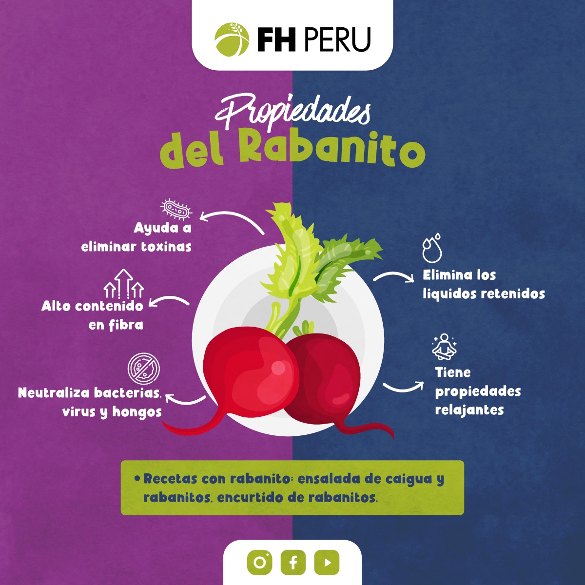 FH PERU - ¿Sabías que el rabanito pertenece a la misma...