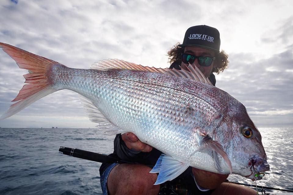 Missing At Sea - North QLD Snapper - seems like their colours change ...